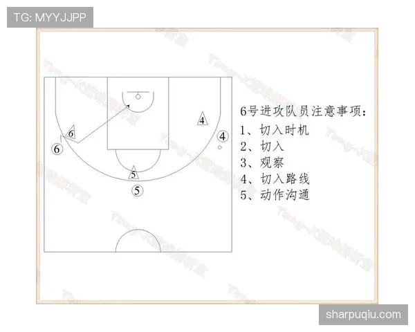 【篮球规则解析】详解球权判定规则：从争球到界外球如何执行？