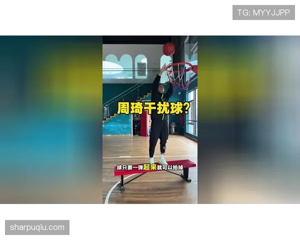 深入解析干扰球国际规则差异，看懂不同篮球赛事的违例判罚标准