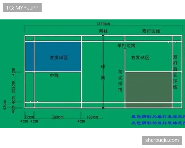 球场尺寸规则：国际赛与业余场地的长宽标准与常见误区