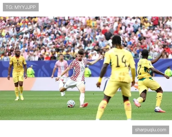 克罗地亚2-1加纳：世界杯L组末轮战报